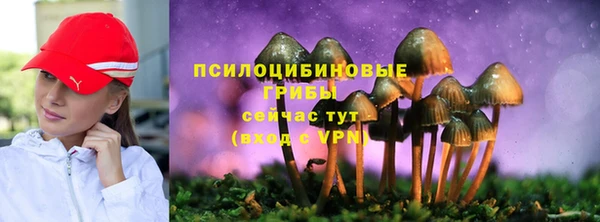 mix Козловка