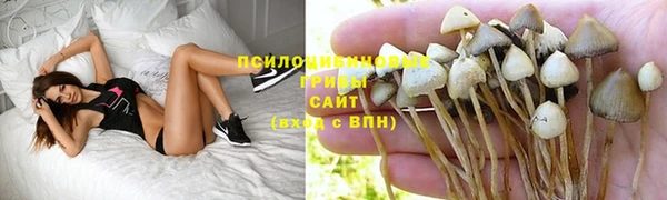метадон Кодинск