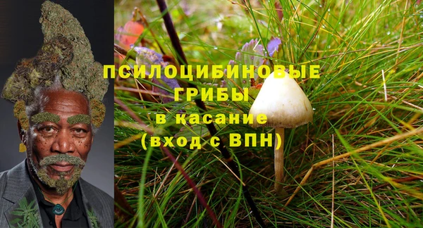 метадон Кодинск