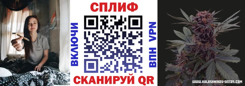 Купить  Опочка  Канабис VHQ 